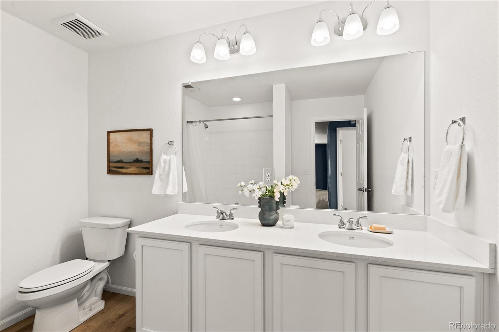 9054 Truckee Court Commerce City, CO 80022 - Photo 30 of 49 a bathroom with a toilet sink and mirror