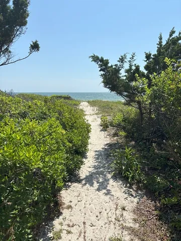 a view of a yard with plants and a wooden fence