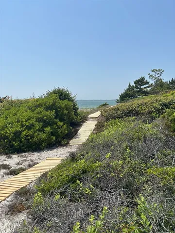 a view of a yard and ocean view