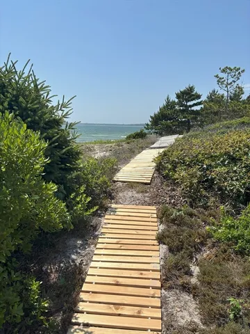 a view of a lake with a city