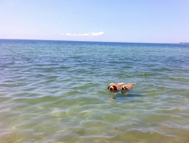 $6,700,000 | 142 Greely Avenue, Barnstable, MA 02672