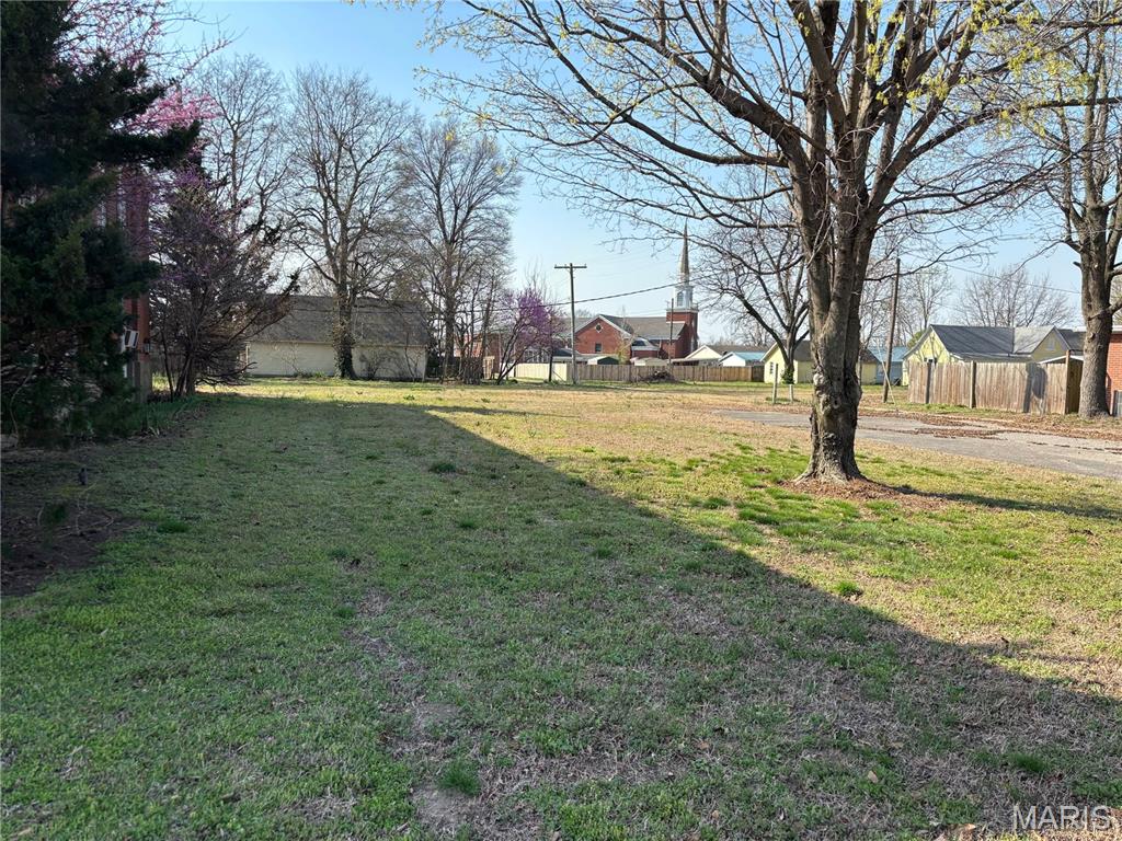 209 North Beckwith Street Malden, MO 63863 - Photo 7 of 9