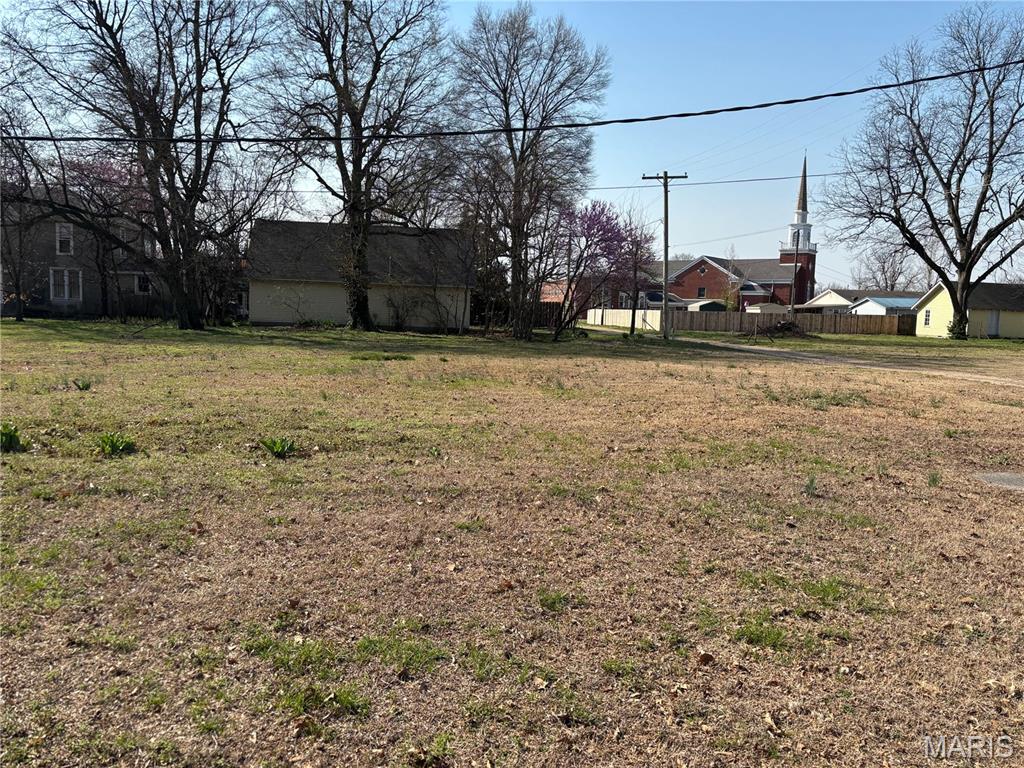 209 North Beckwith Street Malden, MO 63863 - Photo 8 of 9