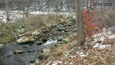 2354 Eastbrook Road New Castle, PA 16105 - Photo 3 of 6