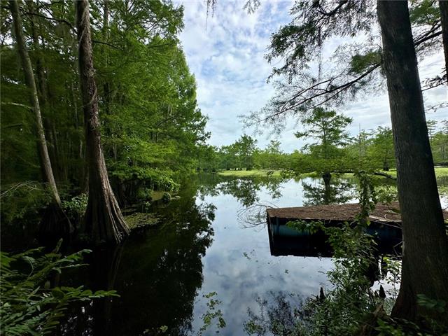 774 Claudes Road Colfax, LA 71417 - Photo 19 of 25