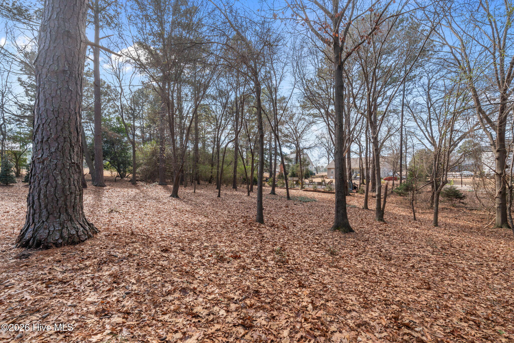 146 Sunset Way Seven Lakes, NC 27376 - Photo 47 of 63 65-web-or-mls-DSC00675