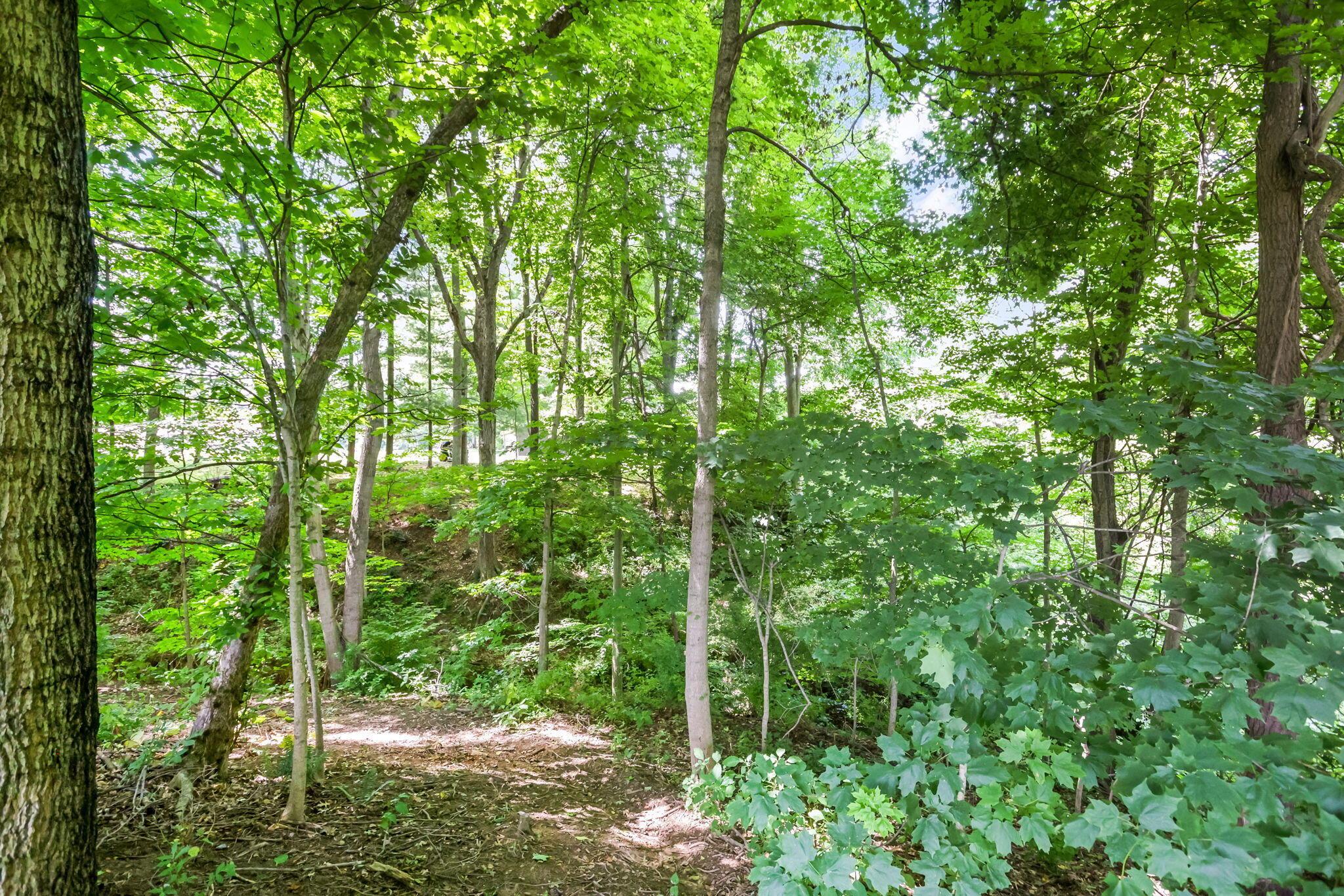 27188 Stuart Road Rockbridge, OH 43149 - Photo 43 of 48 50-web-or-mls-LO5A5297