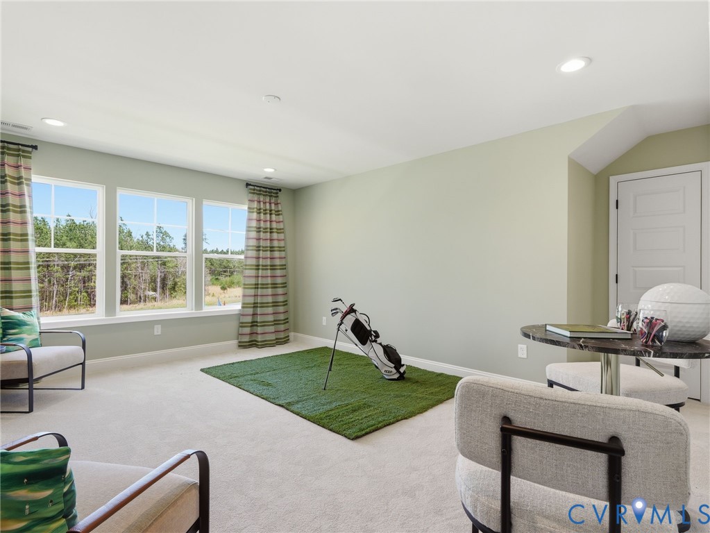 17348 Alana Drive Moseley, VA 23120 - Photo 26 of 35 a living room with furniture