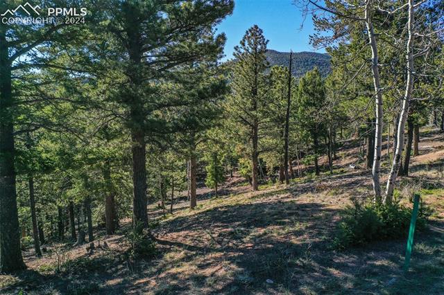 1100 Elk Ridge South Divide, CO 80814 - Photo 17 of 34