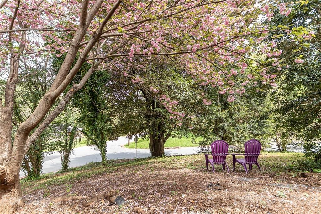 3612 Woodleaf Road Charlotte, NC 28205 - Photo 45 of 45 Gallery Image 45