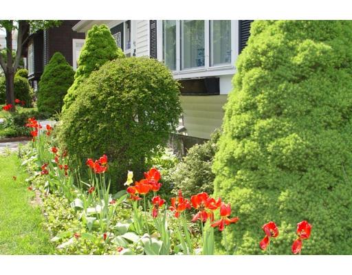 40 Huntley Road Quincy, MA 02169 - Photo 13 of 15 a view of a flower arrangement in backyard
