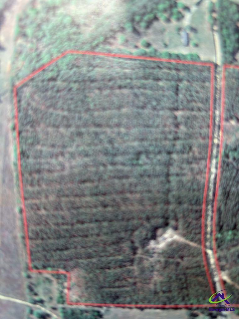 Cactus Hill Road Roberta, GA 31078 - Photo 7 of 7