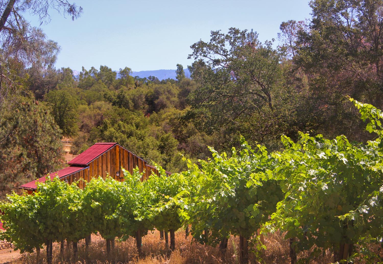 49610 House Ranch Road O'Neals, CA 93645 - Photo 1 of 48 vineyard and upper barn