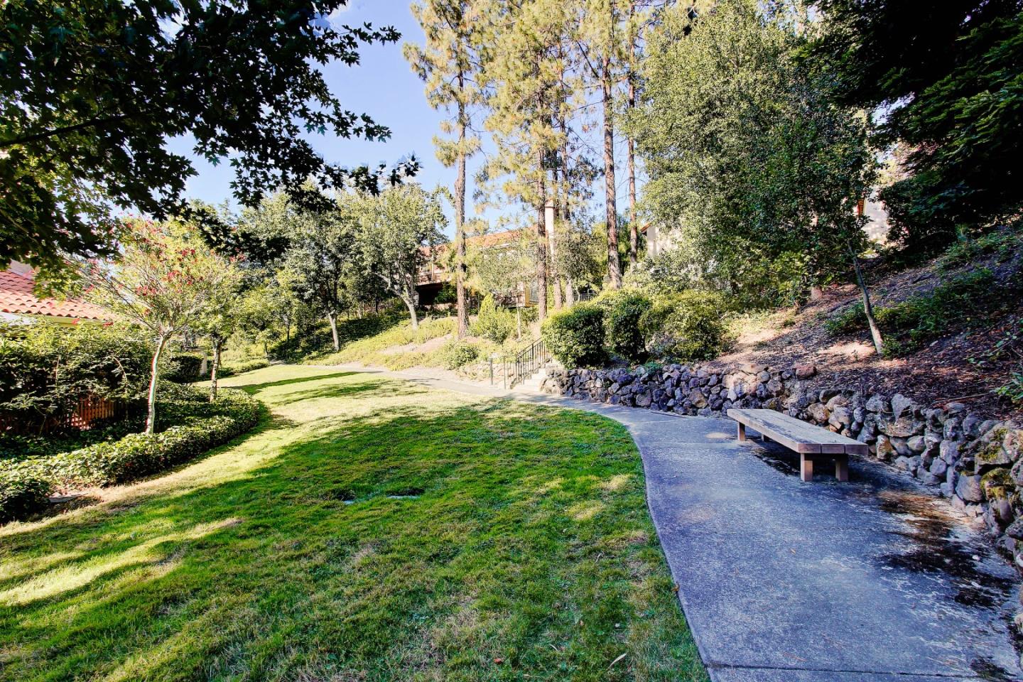 258 Paseo Bernal Moraga, CA 94556 - Photo 34 of 43 a view of a garden with lawn chairs and plants