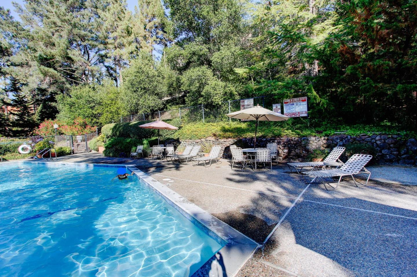 258 Paseo Bernal Moraga, CA 94556 - Photo 37 of 43 a view of a backyard with plants and a patio