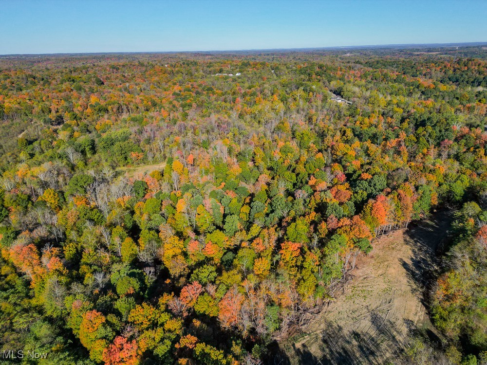 Flint Ridge Road Northeast Crooksville, OH 43731 - Photo 16 of 25 Aerial view