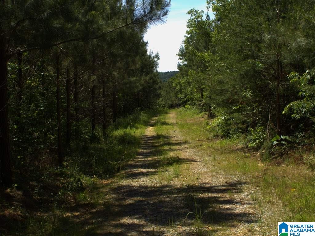46 County Rd Creek, Unit PEWTERFORK Hanceville, AL 35077 - Photo 11 of 13