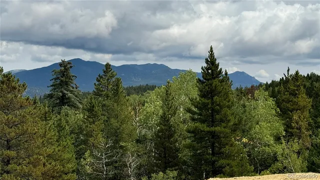 a view of a big yard