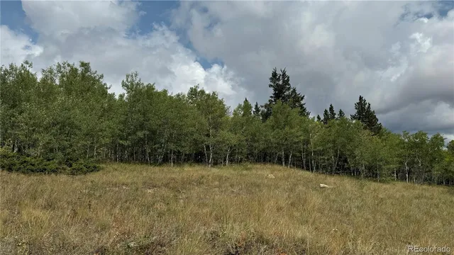 a view of a field with trees in the background