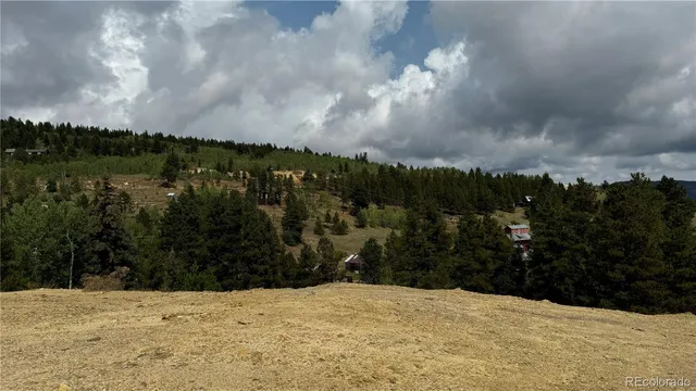 a view of large space with trees in the background