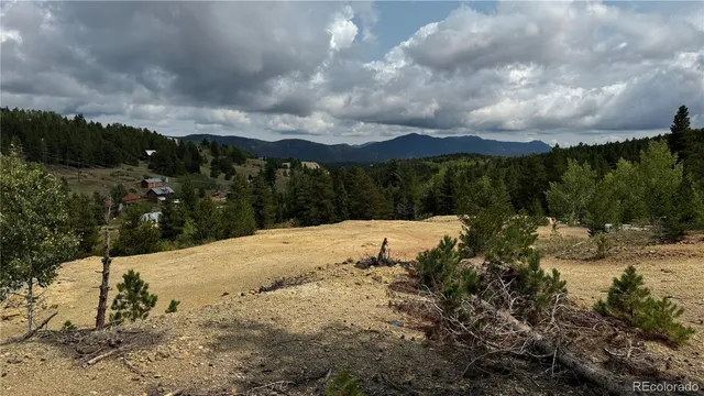 a view of a city with lots of trees