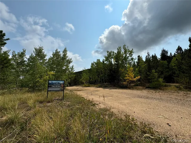 a picture of a person