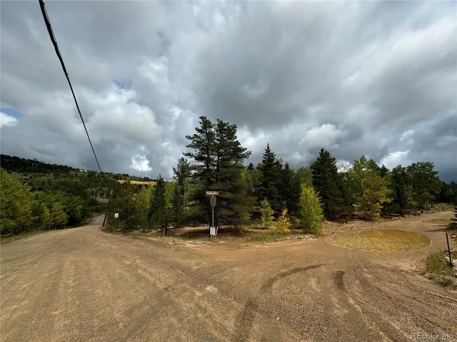 a view of a lush green forest with a lake