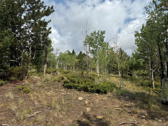 a view of yard with green space