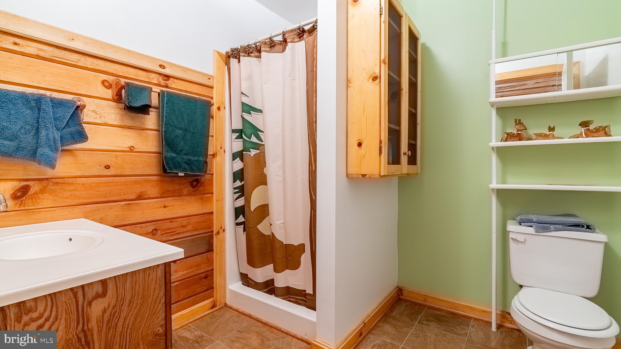 1862 Hawbush Road Circleville, WV 26804 - Photo 79 of 83