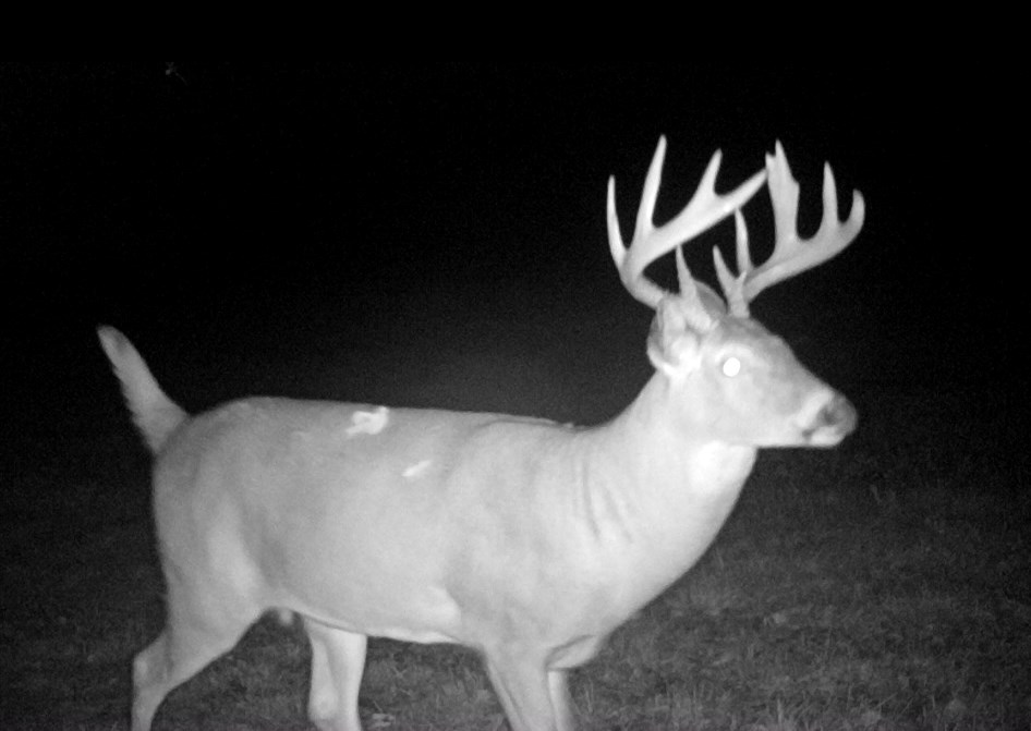 East Center Road Forestville, WI 54213 - Photo 11 of 15