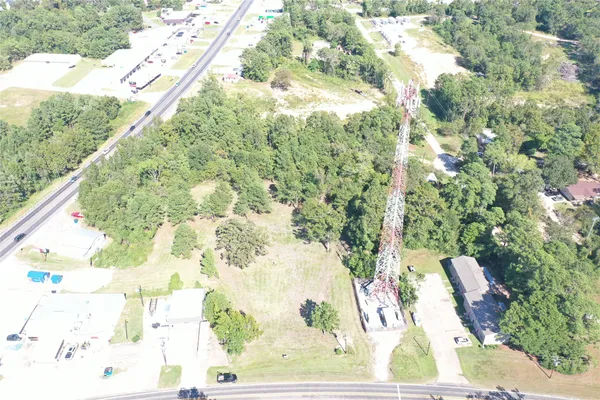 a view of a yard with tree s