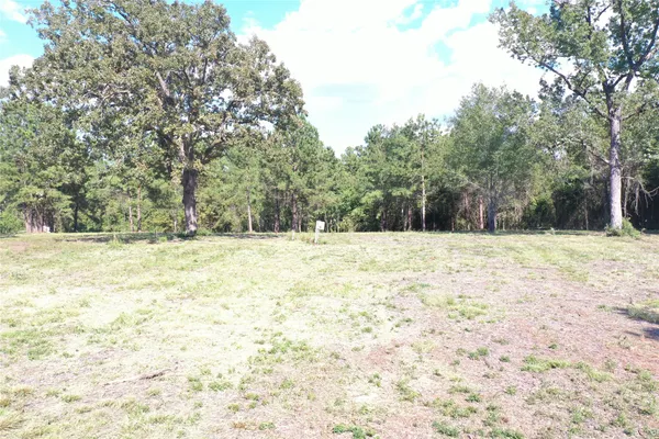 a view of a yard with plants