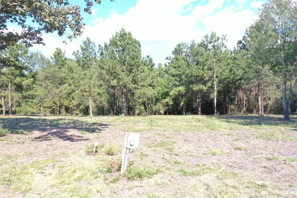 a view of a swimming pool with a yard and trees