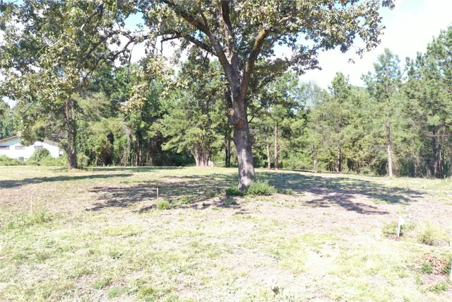 $1,500 | 356 South W West, Onalaska, TX 77360