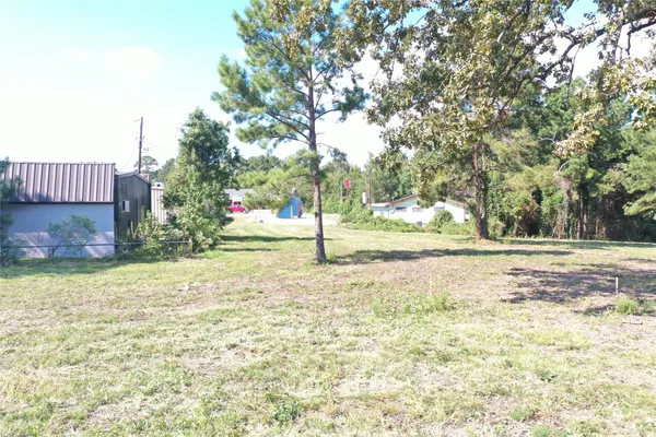 a view of a yard with trees