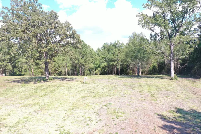 $1,500 | 356 South W West, Onalaska, TX 77360