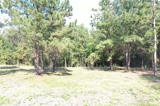 $1,500 | 356 South W West, Onalaska, TX 77360