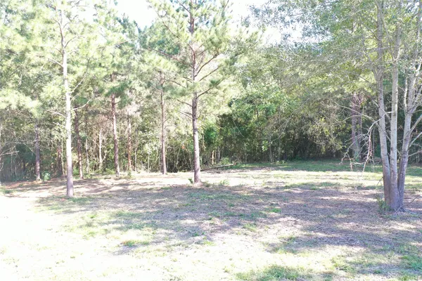 $1,500 | 185 South Fm 356 Street West, Onalaska, TX 77360