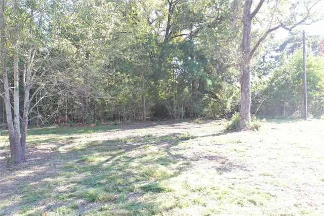 $1,500 | 356 South W West, Onalaska, TX 77360