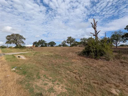 a view of a dry yard with trees