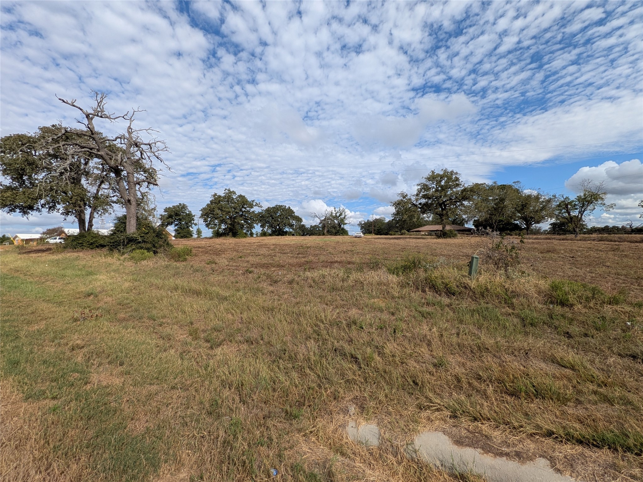 1262 FM 112 Road Lexington, TX 78947 - Photo 3 of 11 a view of yard with ocean and trees in the background