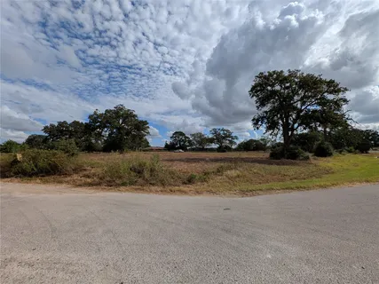 a view of dirt field with trees