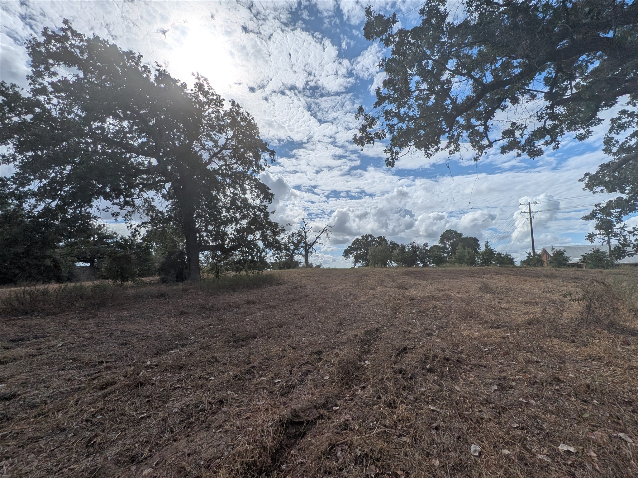 1262 FM 112 Road Lexington, TX 78947 - Photo 6 of 11 a view of a yard with large trees