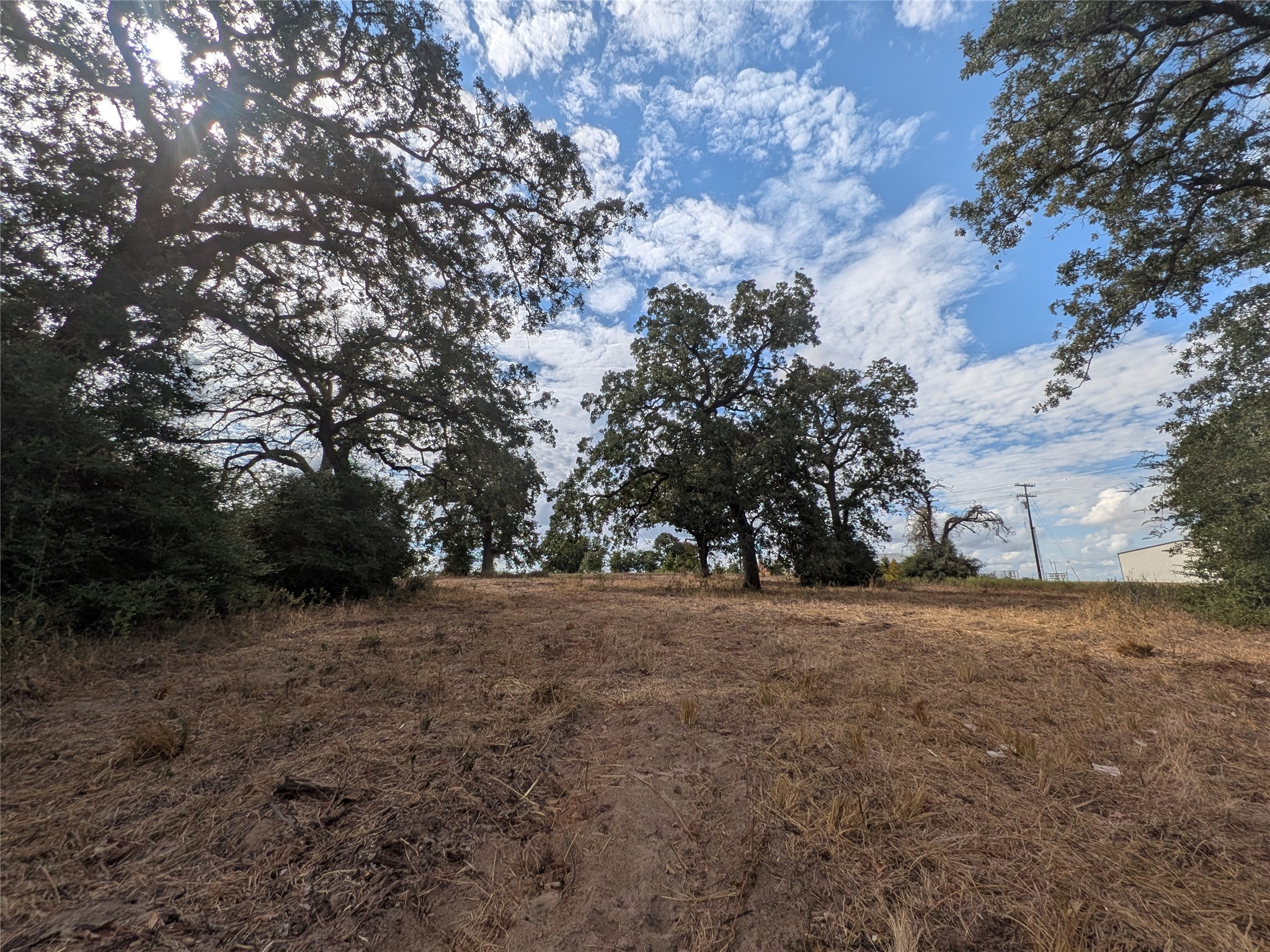 1262 FM 112 Road Lexington, TX 78947 - Photo 7 of 11 a view of outdoor space and yard