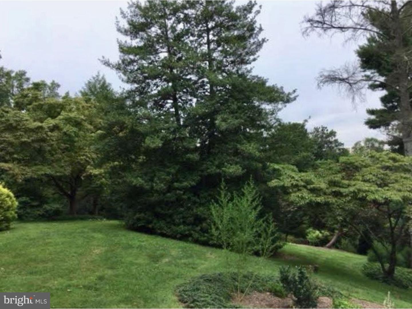 465 General Washington Road Wayne, PA 19087 - Photo 11 of 14
