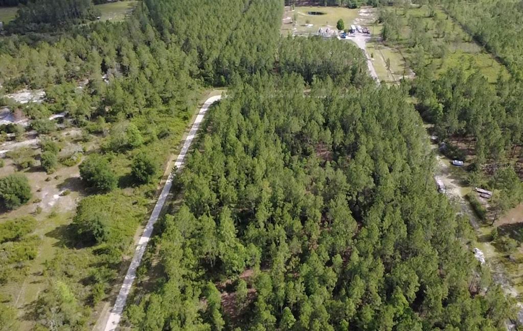 859 Wild Cur Road Pierson, FL 32180 - Photo 3 of 19 a view of a forest with a street