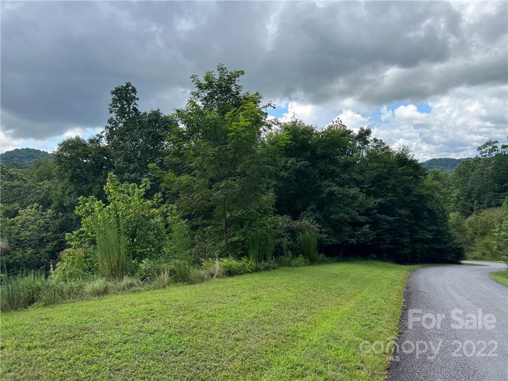6 Kelly Mountain Road Brevard, NC 28712 - Photo 11 of 12 Gallery Image 11
