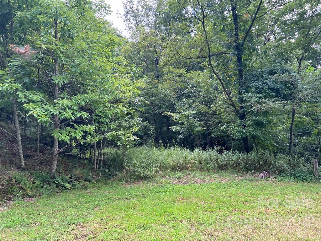 6 Kelly Mountain Road Brevard, NC 28712 - Photo 8 of 12 Gallery Image 8