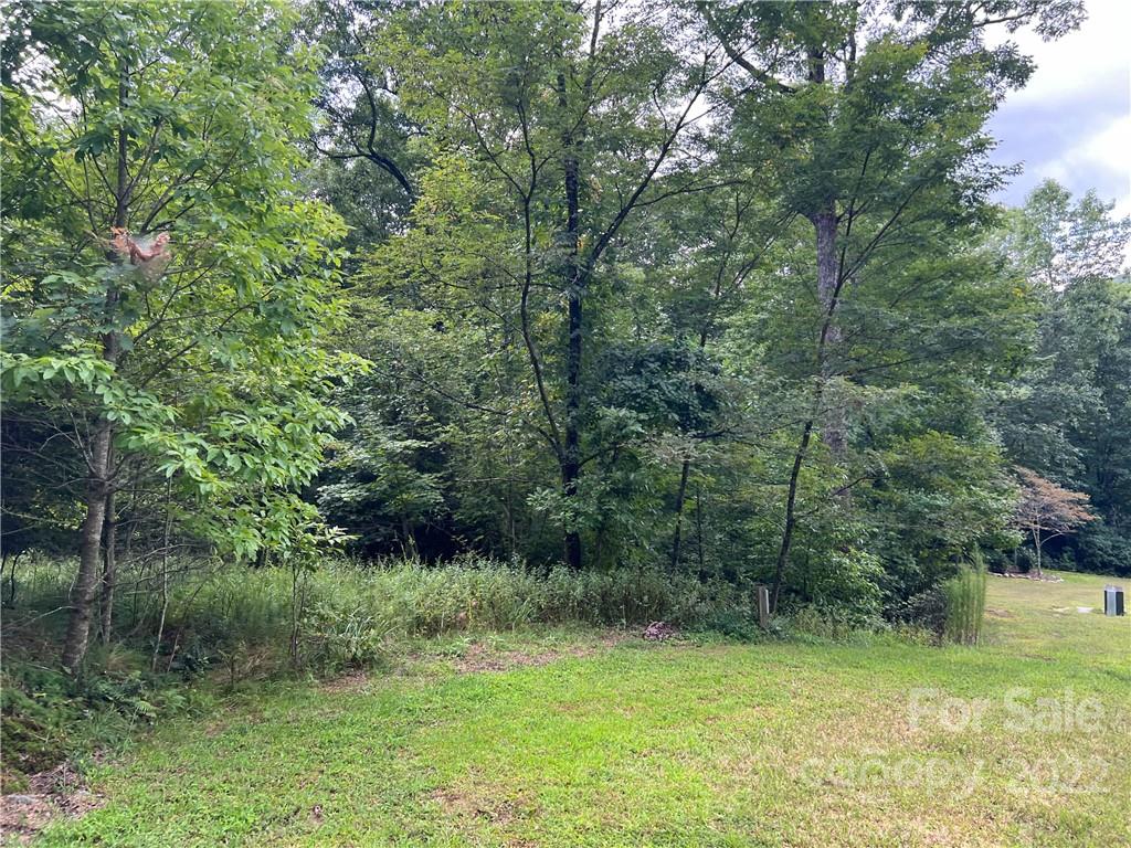 6 Kelly Mountain Road Brevard, NC 28712 - Photo 9 of 12 Gallery Image 9