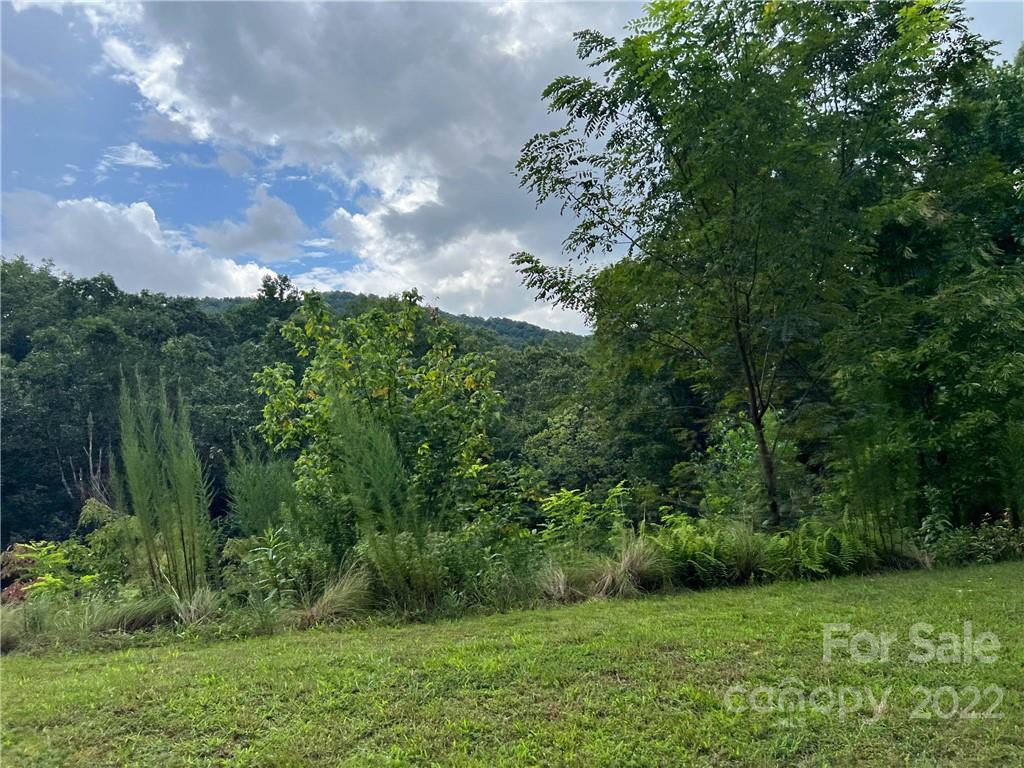6 Kelly Mountain Road Brevard, NC 28712 - Photo 10 of 12 Gallery Image 10